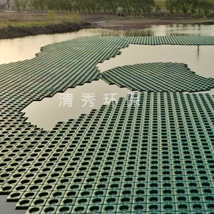 青島膠州荷花浮島