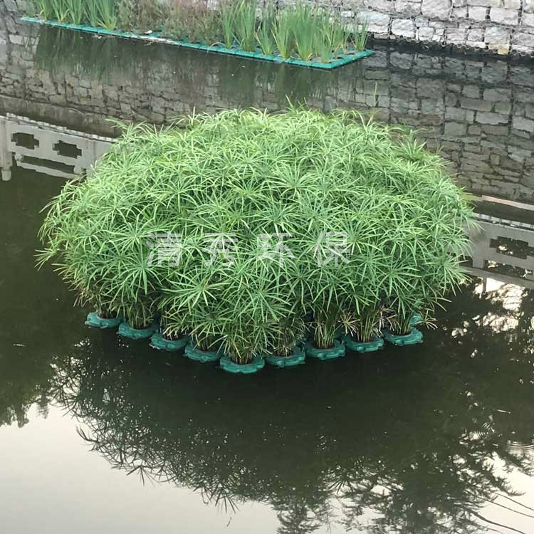 濟寧微山小新河