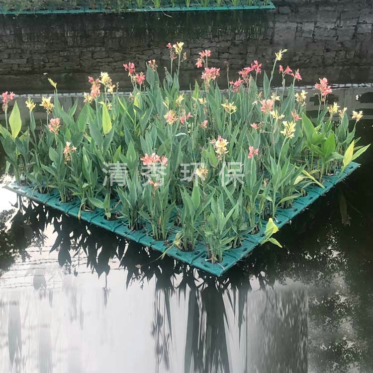 濟寧微山小新河